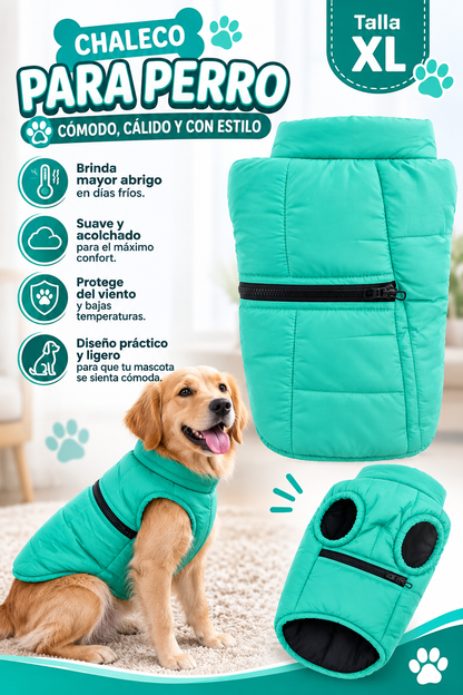 Chaleco Acolchado para Perro Talla XL – Verde Menta, Abrigador y Ligero