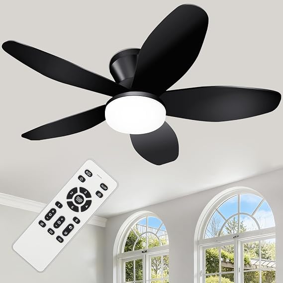 Ventilador Zoeyon