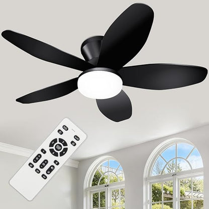 Ventilador Zoeyon