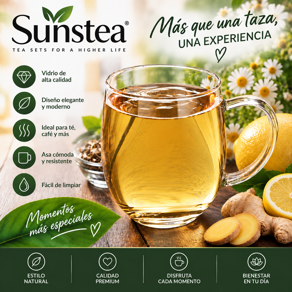 SUNSTEA Taza de Vidrio Ultra Transparente de 16 oz – Elegante y Resistente