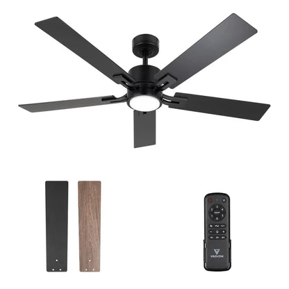 Ventilador De Techo VAGIZM De 52in